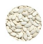 Picture Squash Seeds Jumbo #20 Bulk - Roasted & Salted