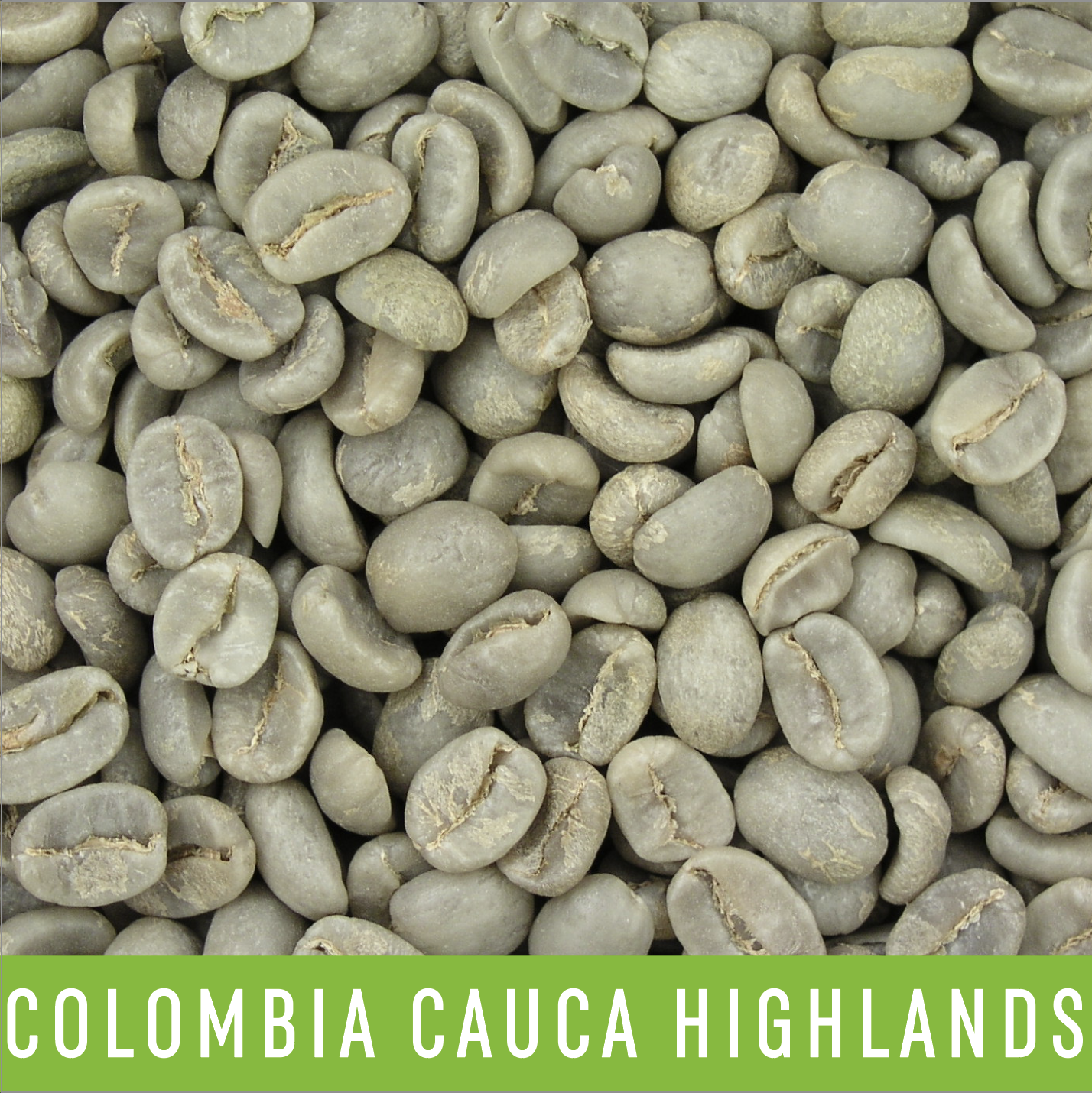 Picture Green Coffee Beans: Colombia Cauca Highlands - 1 LB